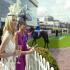 Melbourne Cup Carnival Cruises